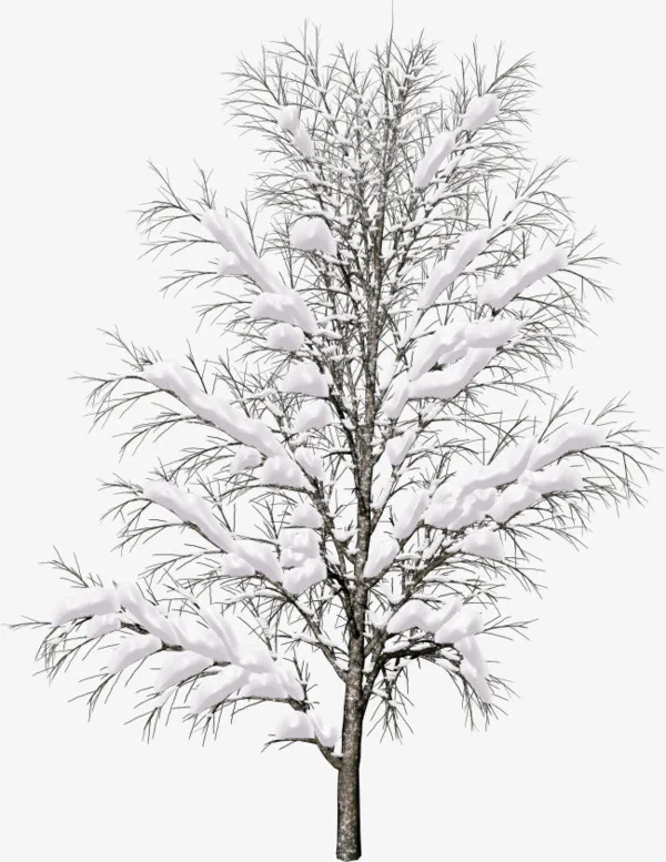 绿色大树上的积雪免抠