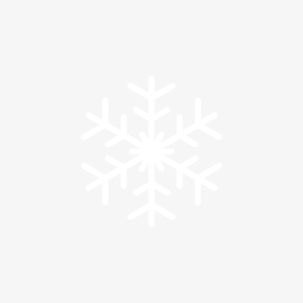 雪花 冰  花 花雕免抠