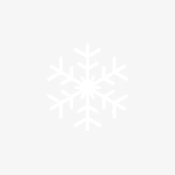 雪花 冰  花 花雕免抠