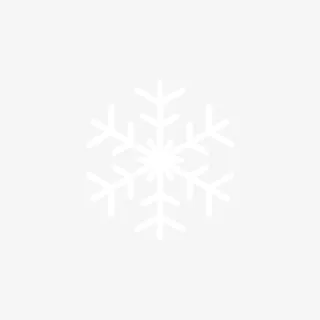 雪花 冰  花 花雕免抠