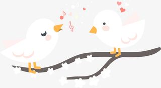 情人节呆萌白色小鸟免抠