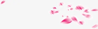 飘落的花瓣免抠