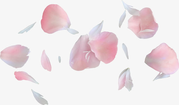 卡通粉色飘落花瓣免抠