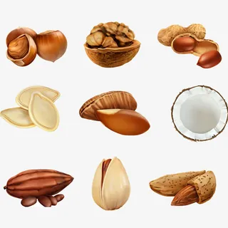 坚果图片免抠