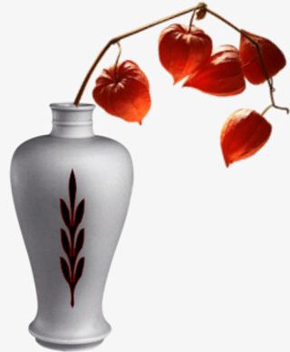 手绘花草素材线描花草免抠