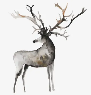 手绘灰色的麋鹿免抠图免抠