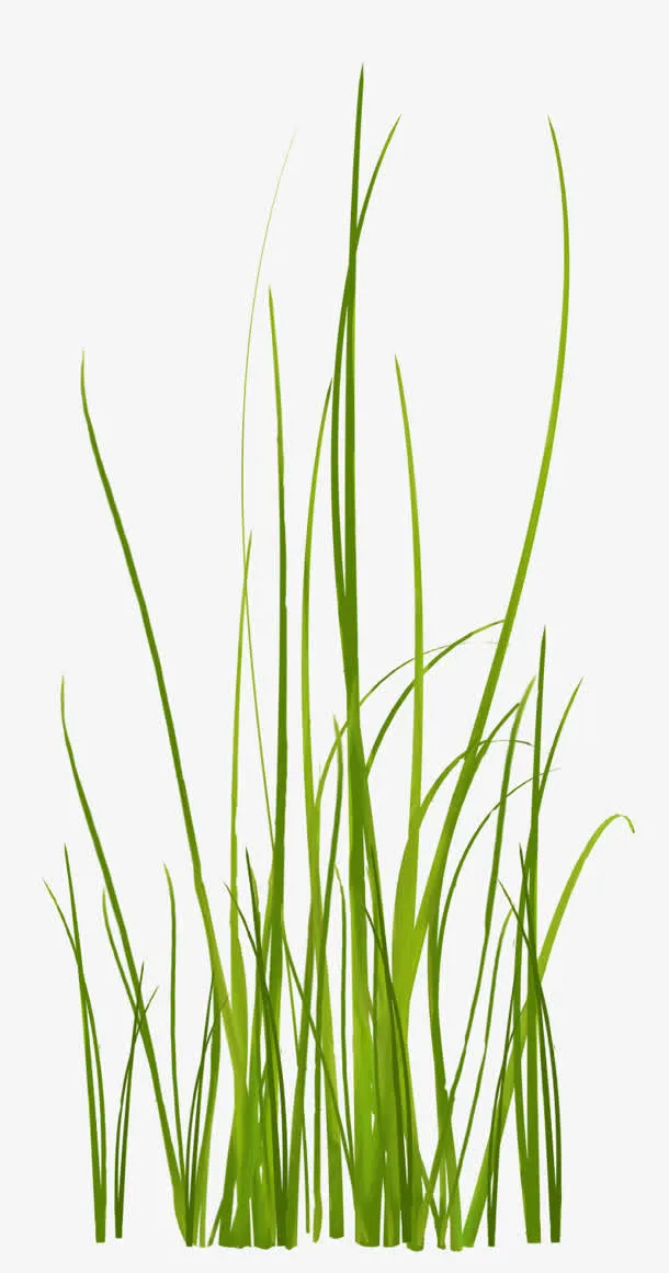 绿色小草免扣png素材免抠