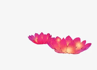 文艺古风花灯免抠