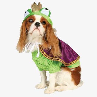 可爱穿衣服的狗狗免抠