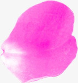 浪美唯美水墨花瓣免抠