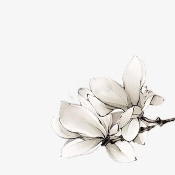 水墨桃花两朵桃花免抠