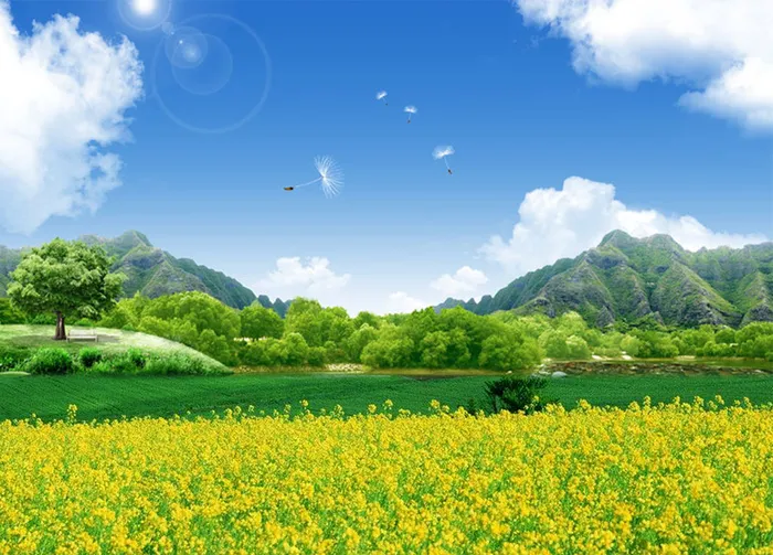油菜花田蓝天白云草地树林山峰背景素材高清