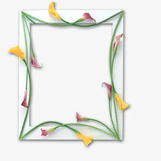 创意鲜花相框免抠