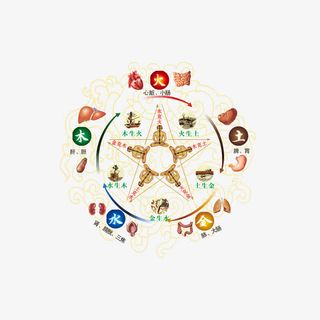 心肺八卦图免抠