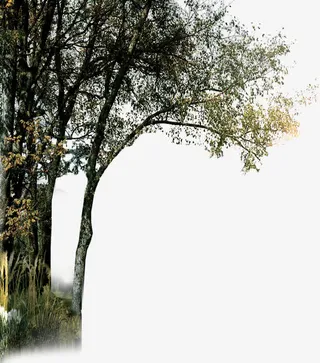 绿色树枝样式海景房免抠