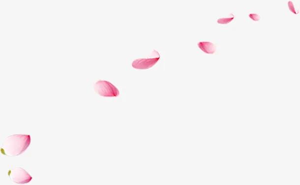 花瓣元素，漂浮元素，png素材，点缀免抠