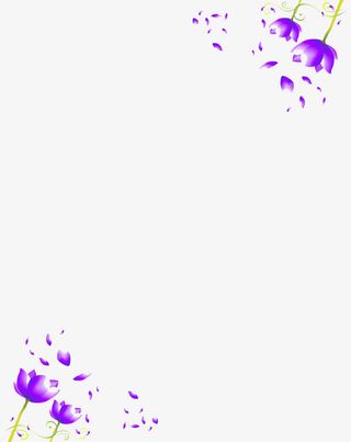 郁金香花瓣图片素材免抠