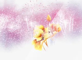 烟花素材免抠