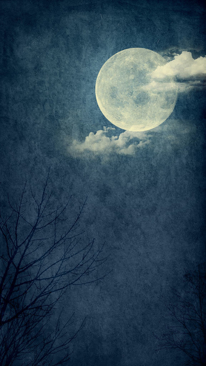 月亮树木夜色背景高清