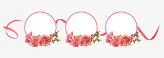 花环文字装饰框免抠