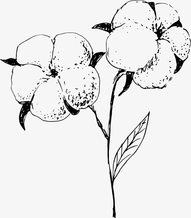 简笔棉花免抠
