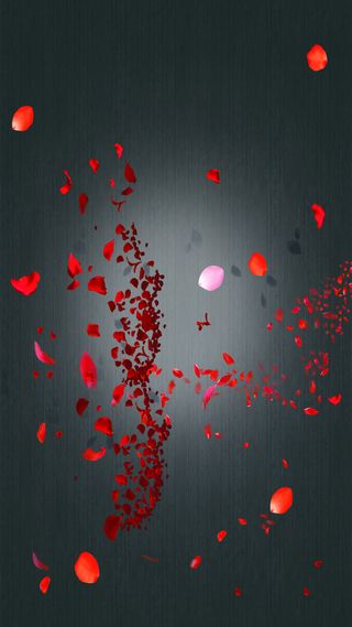 黑色花瓣背景高清