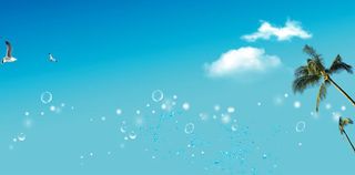 夏威夷天空椰子树气泡海报背景