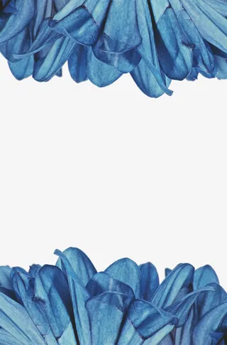 蓝色花瓣上下边框免抠