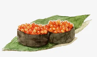 手绘和风鱼蛋寿司免抠