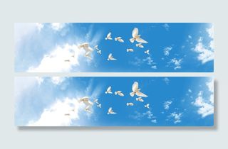 简约鸽子蓝天背景图高清