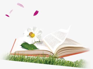 打开的书免抠