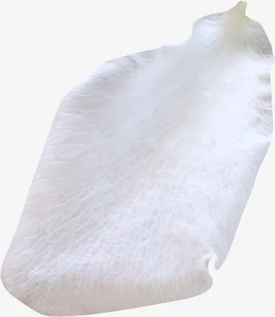 卡通手绘美丽的花瓣免抠