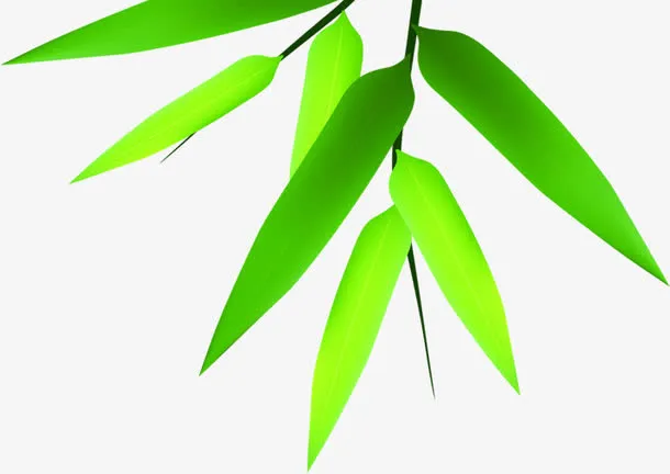 竹叶绿叶装饰端午节免抠