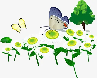 蝴蝶白色小花免抠