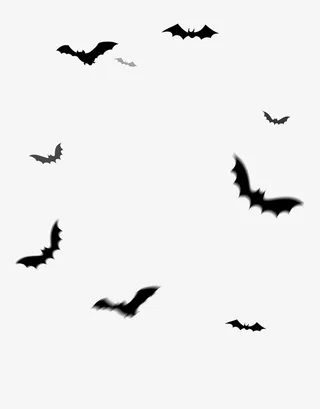 万圣节蝙蝠免抠