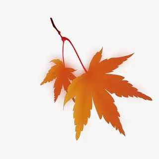 红色枫叶矢量图免抠