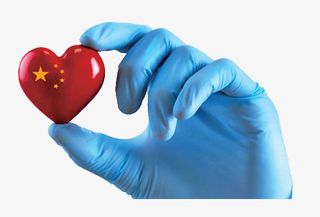 手套白色照片医疗医用手套PNG免抠