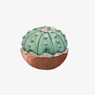 春天仙人掌手绘绿色免抠