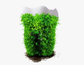 绿色环保牙齿免抠