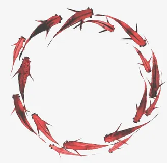 和风鲤鱼底纹免抠