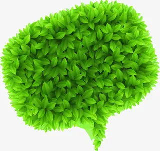 高清摄影手绘绘画绿叶会话框免抠