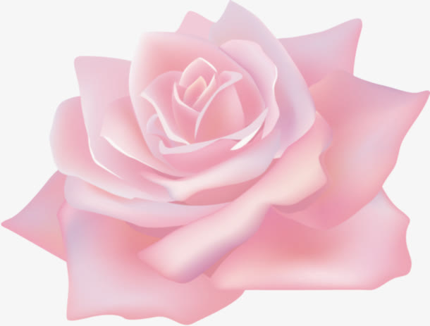 粉色花免抠