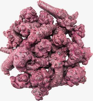 参茸药材图片免抠