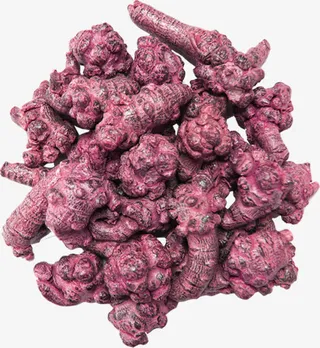 参茸药材图片免抠