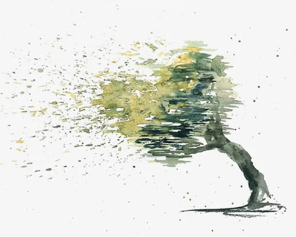 树枝免抠