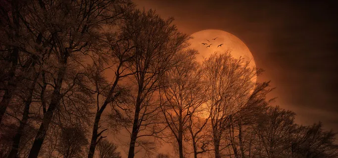 淘宝背景图高清