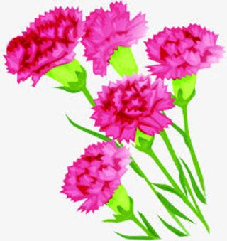 唯美时尚春天花朵风光免抠