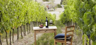 葡萄酒庄园高清