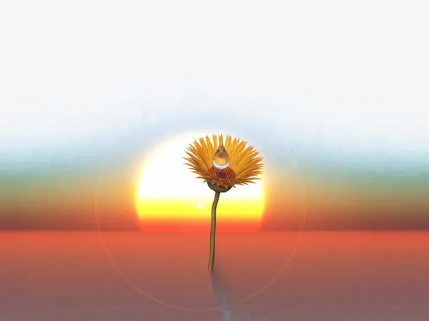 美丽的沙漠图片免抠