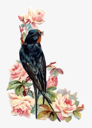 复古玫瑰花朵燕子免抠